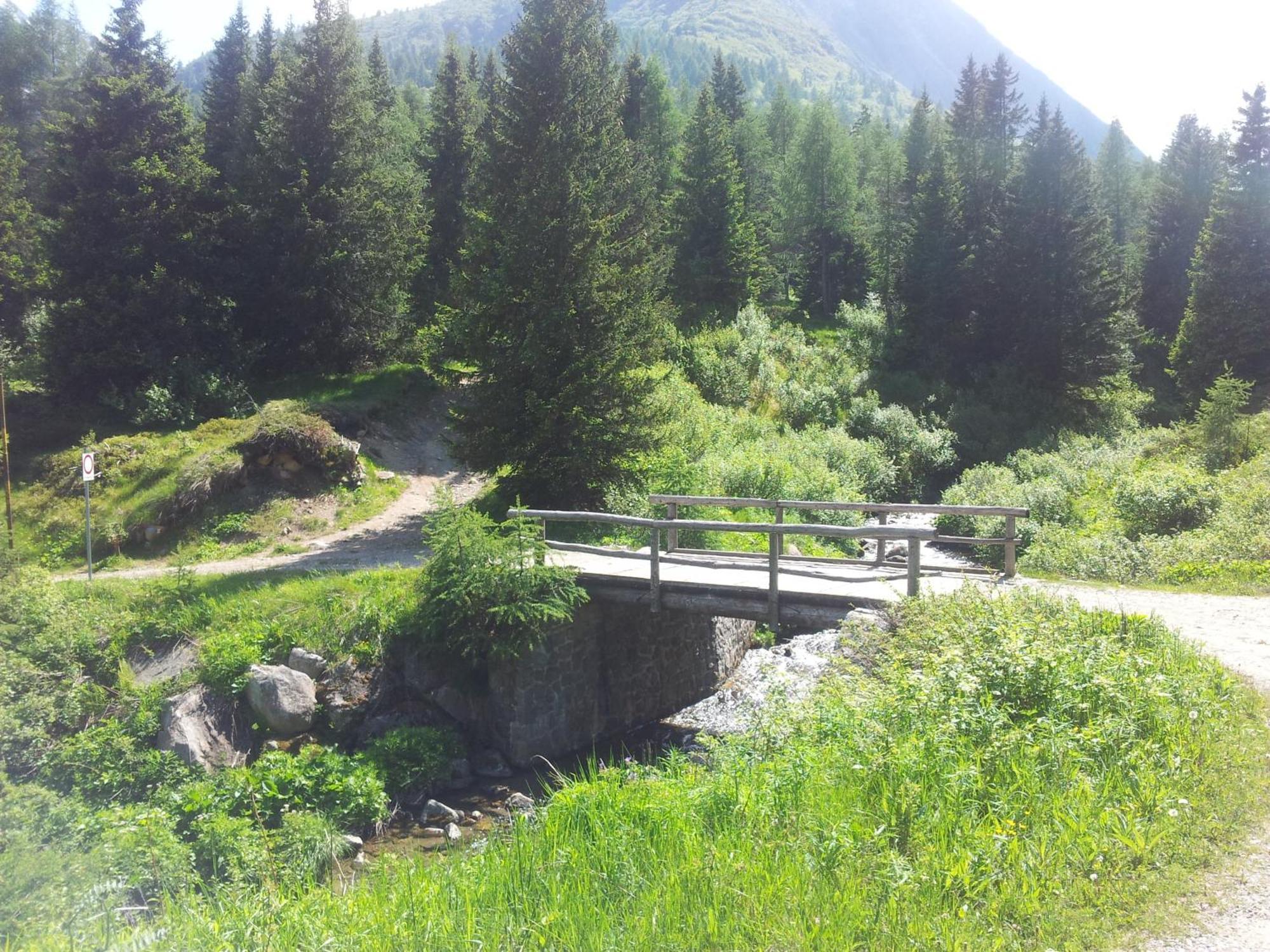 Hotel Negritella Passo del Tonale Eksteriør billede